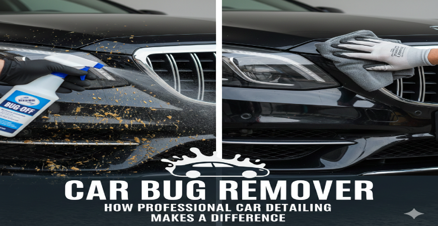 Car Bug Remover