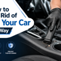 How To Get Rid Of Ants In Your Car The Right Way